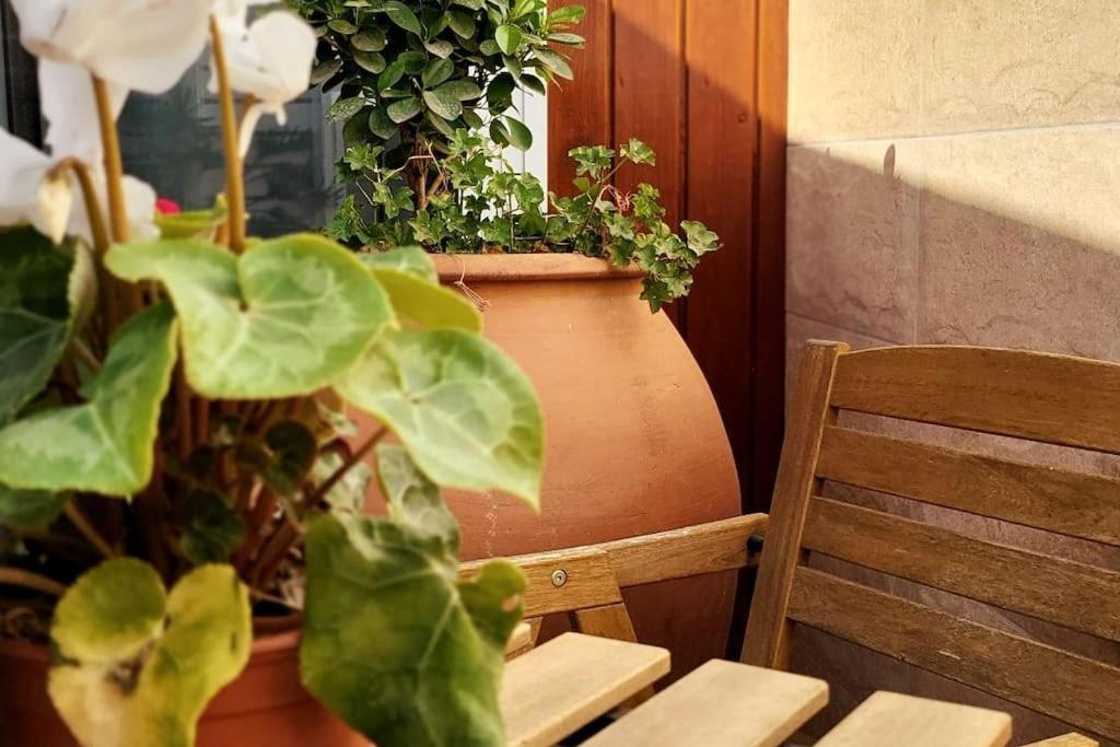 Vintage & Deluxe Apartments Puerto del Rosario  Εξωτερικό φωτογραφία