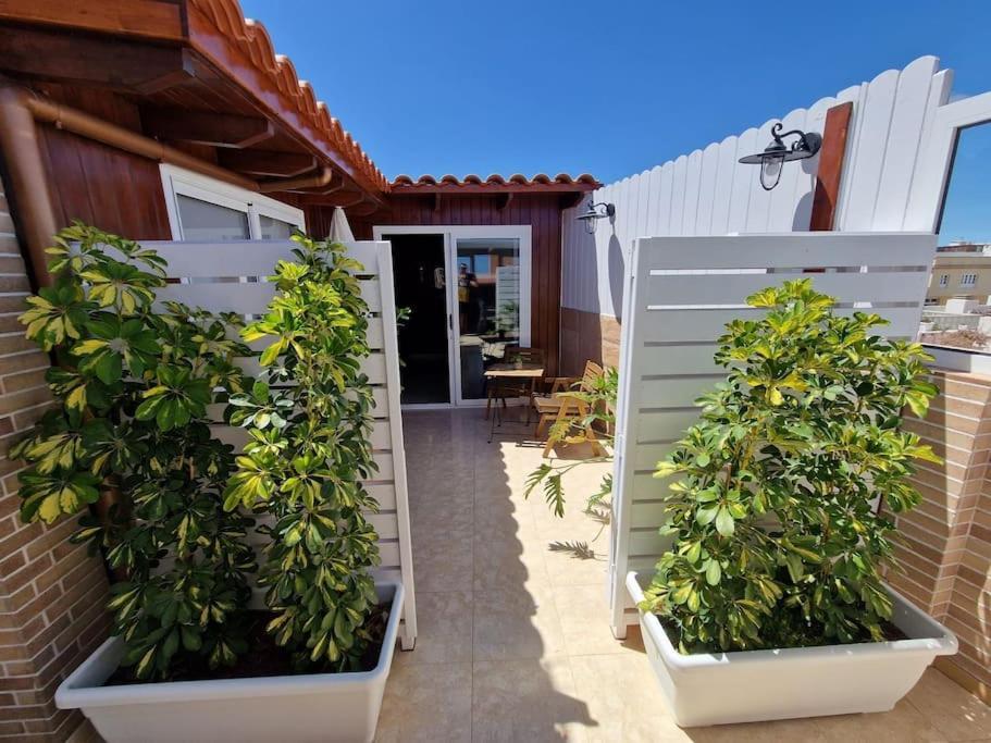 Vintage & Deluxe Apartments Puerto del Rosario  Εξωτερικό φωτογραφία